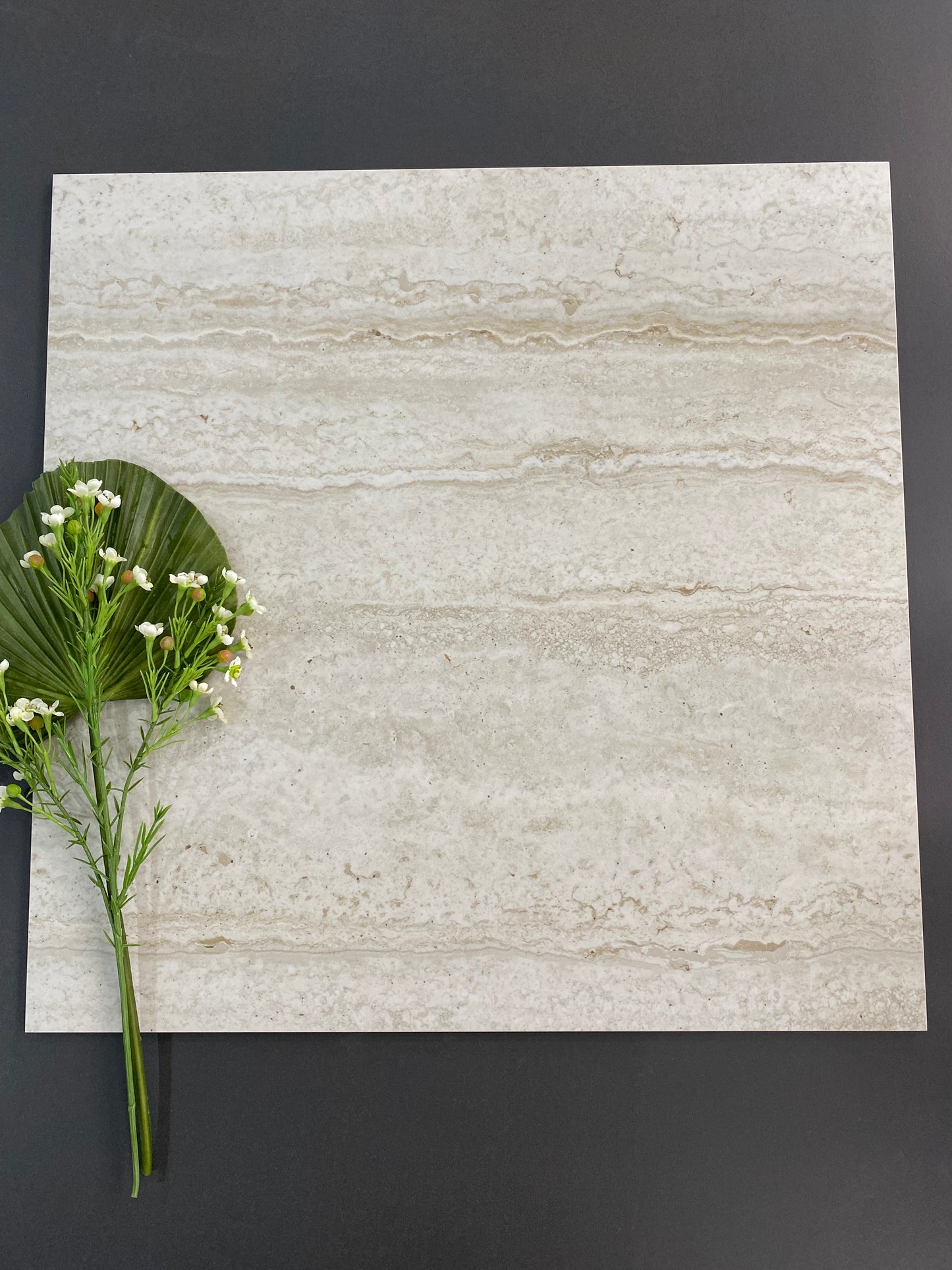 Sienna Travertine White
