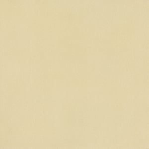 Nuances Luce Concrete Look Porcelain Tile