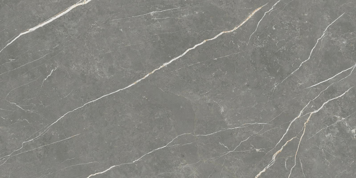 Elite Graphite Marble Look Porcelain Tile