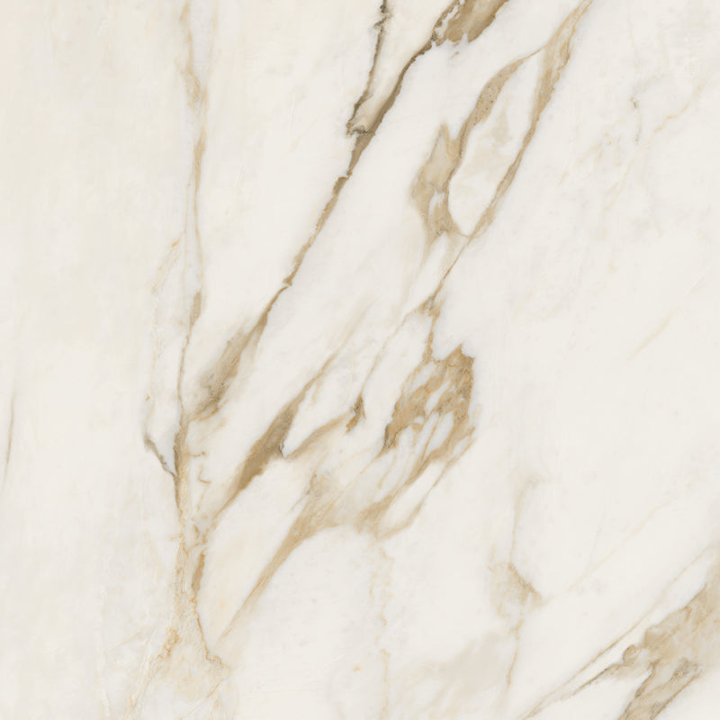 Versace Maximvs Calacatta Bright/Megabarocco Marble Look Porcelain Tile