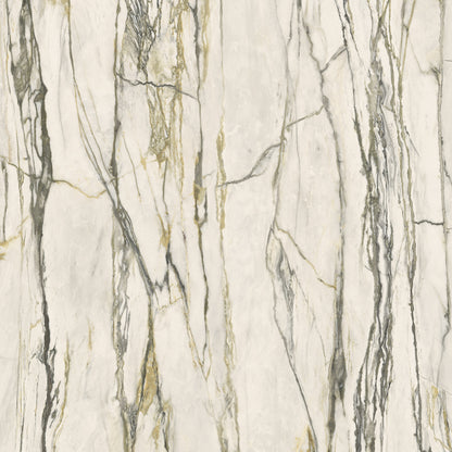 Versace Maximvs Calacatta Green Marble Look Porcelain Tile